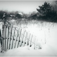 Сады, прогулка :: Алексей Хвастунов