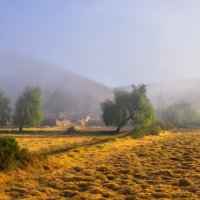 Туманное утро... :: Владимир Жданов