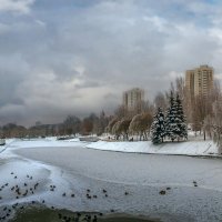 В зимнем парке. :: Aleksey Afonin