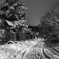 Зима. :: Андрей Андрианов