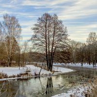 *** :: Николай Климович