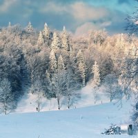 winter view :: Elena Wymann