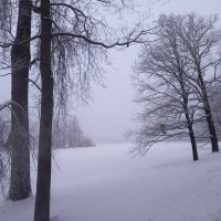Зимний туман :: Сапсан 