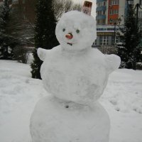 Снеговик. :: Радмир Арсеньев