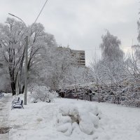 Когда много снега :: Елена Семигина