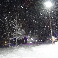 Ливневый снег :: Павел Трунцев