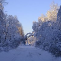 Зимняя дорога. :: Vladimir 