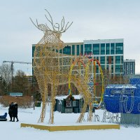 Новосибирск Новогодний :: Дмитрий Конев