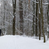 Кто на лыжах, кто пешком... :: Raduzka (Надежда Веркина)