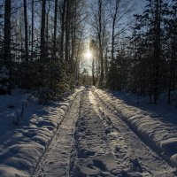 Тверская область. :: Станислав Мутовин