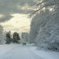 Зимние дороги :: Дмитрий Конев