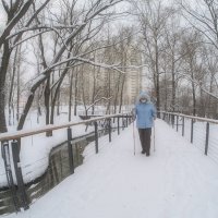 Зимняя Зарисовка :: юрий поляков