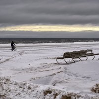 Вдоль берега моря :: Регина 