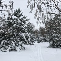 Первый снег! :: Надежда 