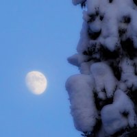 Холодная луна :: Павел Трунцев
