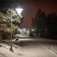 Ночь...Улица...Фонарь... :: Александр Леонов