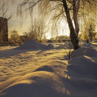 Мороз и солнце :: Любовь Перевозникова