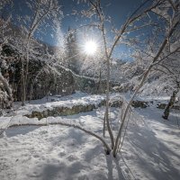 Winter Day In Gelati Monastery :: Fuseboy 