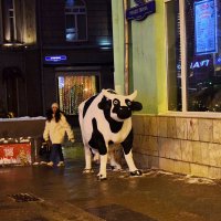 Время вечерней дойки. :: Татьяна Помогалова