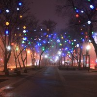 Красота в городе :: Людмила Смородинская