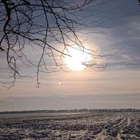 Зимний пейзаж солнце :: вячеслав коломойцев