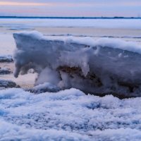 Финский залив замёрз :: Георгий А