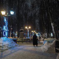 Вечер в Зимнем Парке :: юрий поляков