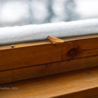 Зима за окном :: Александр Синдерёв