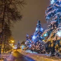 Однажды зимним вечером :: Игорь Сарапулов