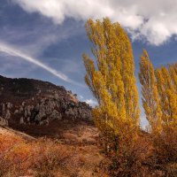 Осень. :: Сергей Воротников