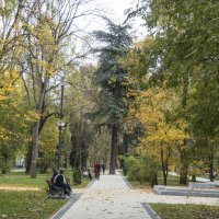 Парк  на бульваре Ленин,осень :: Валентин Семчишин