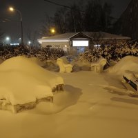 Снега поднасыпало... :: Мария Васильева