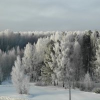 природа зимой :: Владимир 