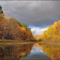 Осень :: vedin 