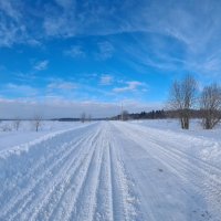 Дорога минувших лет... :: Полина Артемина