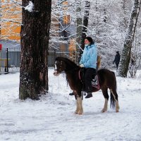 Наездница крупнее скакуна. :: Милешкин Владимир Алексеевич 