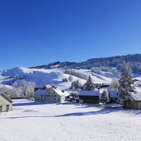 январь...Швейцария, кантон Аппенцелль.. :: Galina Dzubina