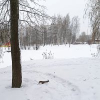 В зимнем парке... :: Мария Васильева