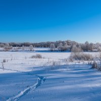 Зимний пейзаж. :: Виктор Евстратов