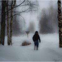 Холодный январь :: Валентин Кузьмин