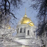 Золотые купола собора Александра  Невского :: Валентин Семчишин