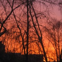 Пылает рассвет над городом :: Елена Семигина
