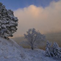 Мороз :: Дмитрий 