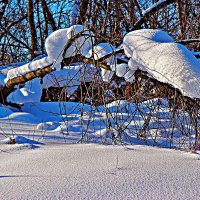 Февраль...Снега и сугробы зимы! :: Владимир 