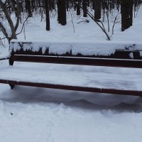 В парке старая скамейка впала в дрёму зимних дней, белоснежная шубейка согревает спину ей. :: Freddy 97