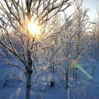 Январь...Мороз,солнце и иней! :: Владимир 