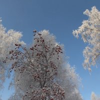 Хороший денек :: владимир тимошенко 