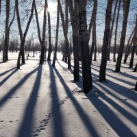 Зимнее Солнце :: Андрей Хлопонин
