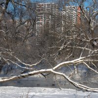 Река в городе. :: Владимир Безбородов