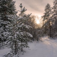 В каждом мгновении живет свое маленькое чудо... :: Наталья Димова